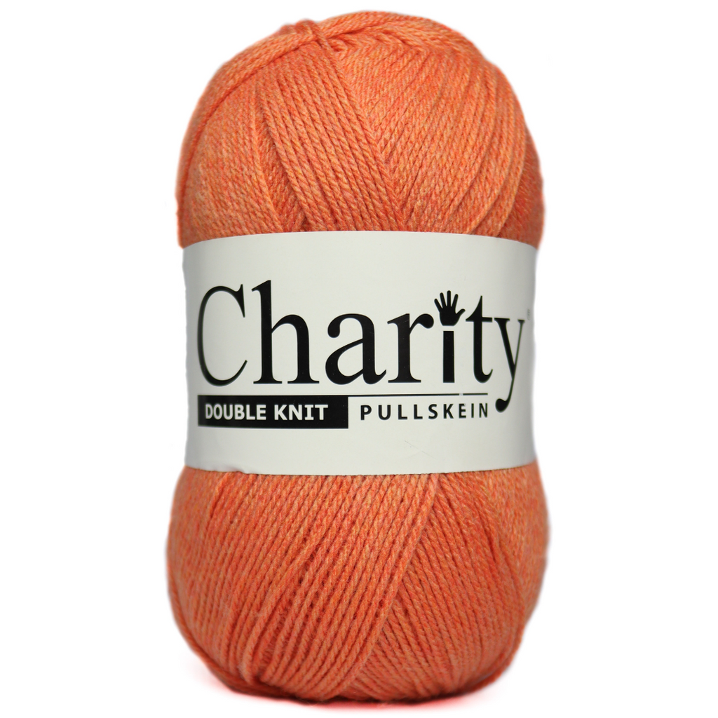 Charity Double Knit 100g